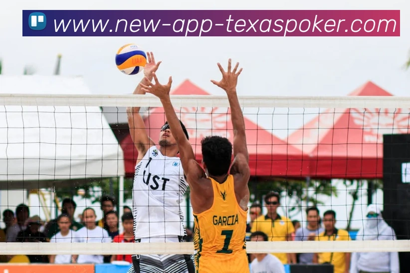 德州扑克APP平台生态图